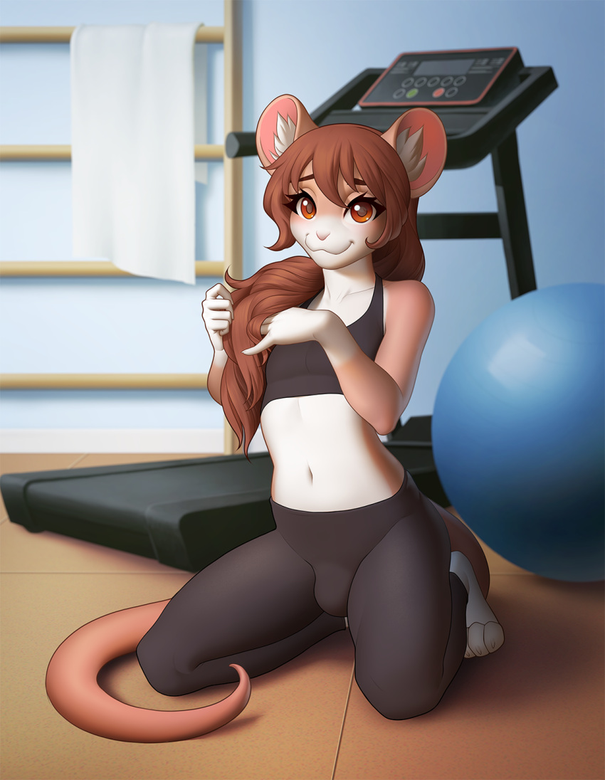 amber_eyes anthro big_ears bottomwear bra brown_hair bulge charlie_(alexthecatte) clothing detailed_background exercise_ball exercise_equipment fur girly gym_clothing hair hi_res kneeling long_hair long_tail looking_at_viewer male mammal midriff mouse murid murine pants playing_with_hair ponytail ponytail_over_shoulder rodent smile sogolina solo sports_bra sportswear story story_at_source story_in_description tail_curl treadmill underwear white_body white_fur yoga_pants