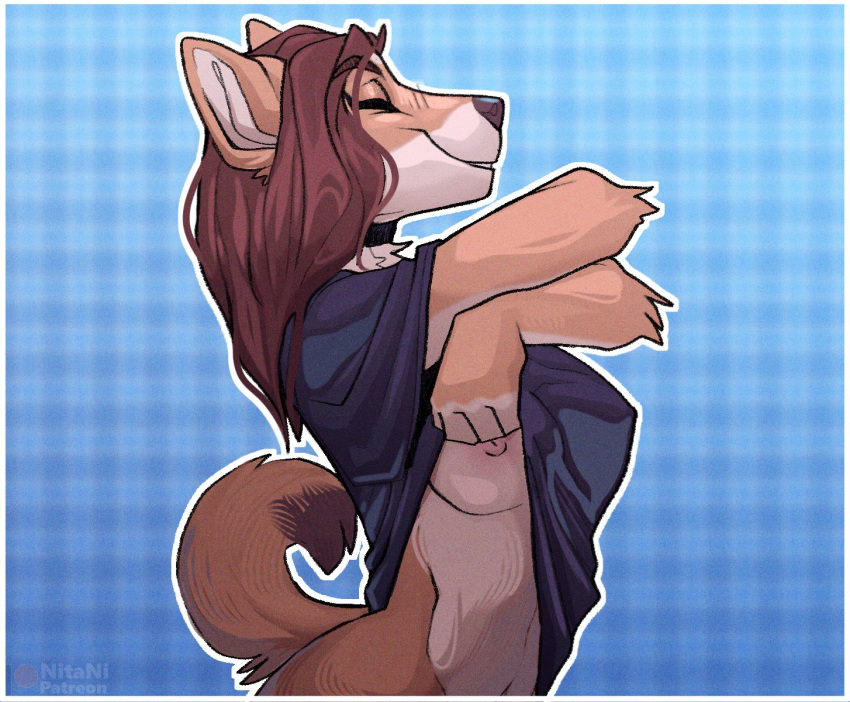 2022 5_fingers anthro areola breasts brown_hair canid canine canis clothed clothing digital_media_(artwork) domestic_dog female fingers fur hair hi_res mammal mile nipples nitani smile solo