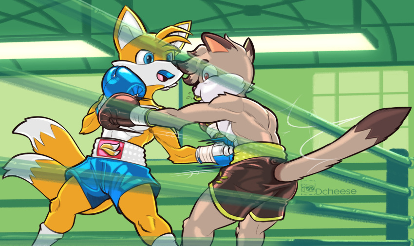 2022 2_tails anthro bangs blue_eyes bodily_fluids boxing boxing_gloves boxing_shorts boxing_trunks brown_body brown_fur butt canid canine clothing dcheese detailed_background digital_media_(artwork) dipstick_ears dipstick_tail domestic_cat duo felid feline felis fight fighting_ring footwear fox fur furgonomics gutpunch handwear hi_res male mammal markings miles_prower mouthguard multi_tail multicolored_ears punch red_eyes saliva sega socks sonic_the_hedgehog_(series) sport tail_markings watermark white_body white_fur yellow_body yellow_fur