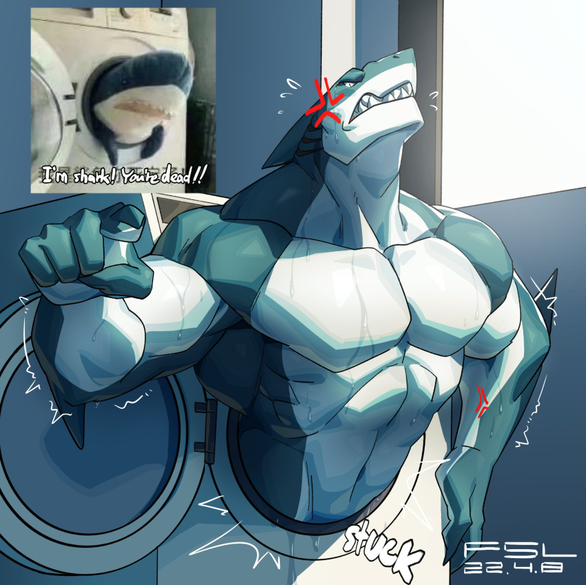 2022 angry anthro anthrofied appliance blahaj claws cross-popping_vein fish fsl gesture gills hi_res humor ikea inside looking_at_viewer male marine muscular muscular_anthro muscular_male nude plushie pointing pointing_at_viewer reference_image shark sharp_teeth solo stuck teeth washing_machine wet