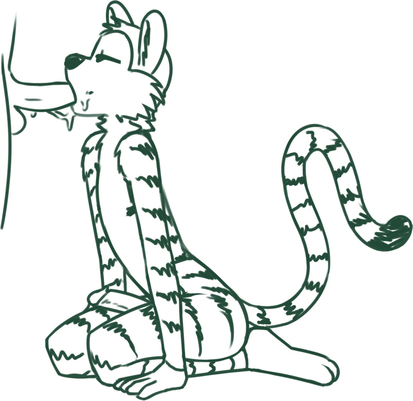 anthro calvin_and_hobbes feet felid fellatio fingers fur genitals half-closed_eyes hi_res hobbes humanoid_genitalia humanoid_penis inner_ear_fluff kneeling long_tail male male/male mammal monochrome narrowed_eyes oral pantherine penile penis redout sex striped_body striped_fur stripes tiger tuft