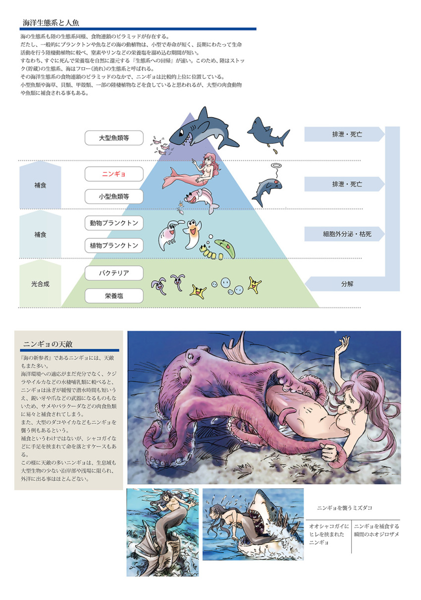 3girls black_hair breasts clam diagram highres imminent_rape imminent_vore marikei0109 mermaid monster_girl multiple_girls nipples nude octopus original peril pink_hair restrained shark tentacle_grab tentacle_sex tentacles text_focus topless translation_request trapped underwater vore