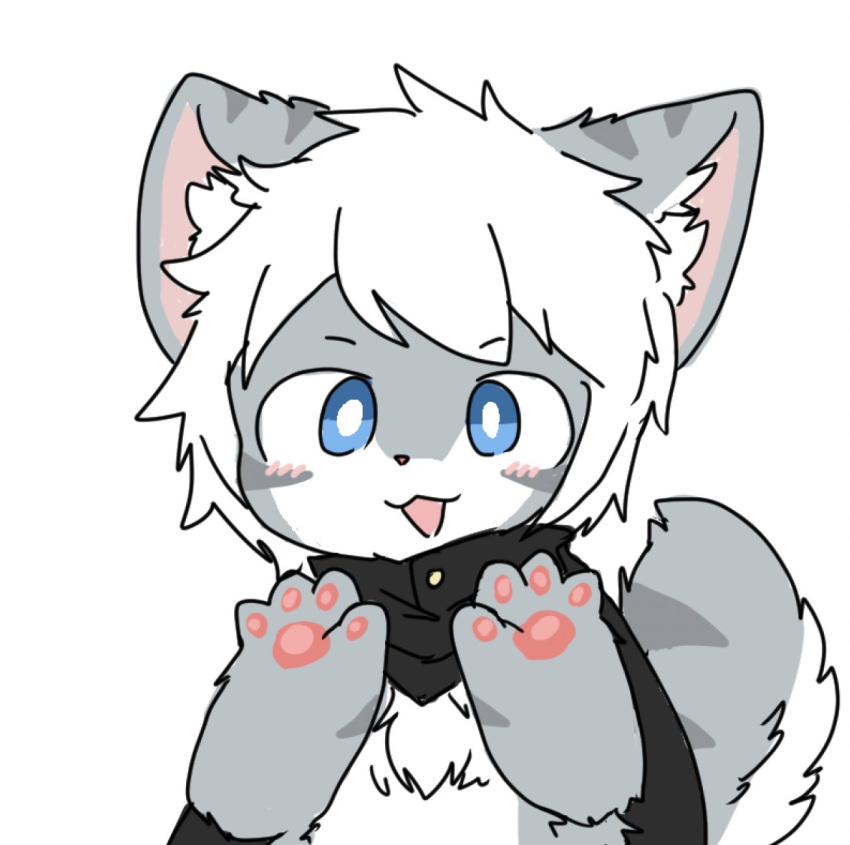 4_fingers anthro blue_eyes blush blush_lines canid canine canis cape chano chano_(character) chest_tuft clothing fingers fur grey_body grey_fur hair hi_res looking_at_viewer male mammal multicolored_body multicolored_fur open_mouth pawpads paws pink_inner_ear pink_nose simple_background solo striped_body striped_fur stripes tuft white_background white_body white_fur white_hair wolf