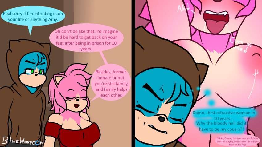 16:9 ambiguous_penetration amy_rose anthro archie_comics big_breasts bluewavecon blush bodily_fluids breasts cleavage clothed clothing cousins digital_media_(artwork) drooling duo english_text eulipotyphlan female fur green_eyes hair hedgehog hi_res hoodie incest_(lore) male male/female mammal mature_female moral_dilemma nipples nude open_mouth penetration pink_body rob_o'_the_hedge rodent saliva sega sex sonic_the_hedgehog_(archie) sonic_the_hedgehog_(comics) sonic_the_hedgehog_(series) teeth text tongue tongue_out topwear video_games widescreen