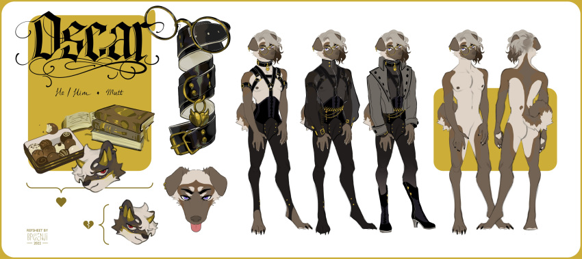 2022 absurd_res anthro bassenji biped black_collar black_high_heels bottomwear canid canine clothed clothing collar ear_piercing ear_ring eyewear featureless_crotch glasses hi_res high_heels male mammal model_sheet nude pants piercing solo