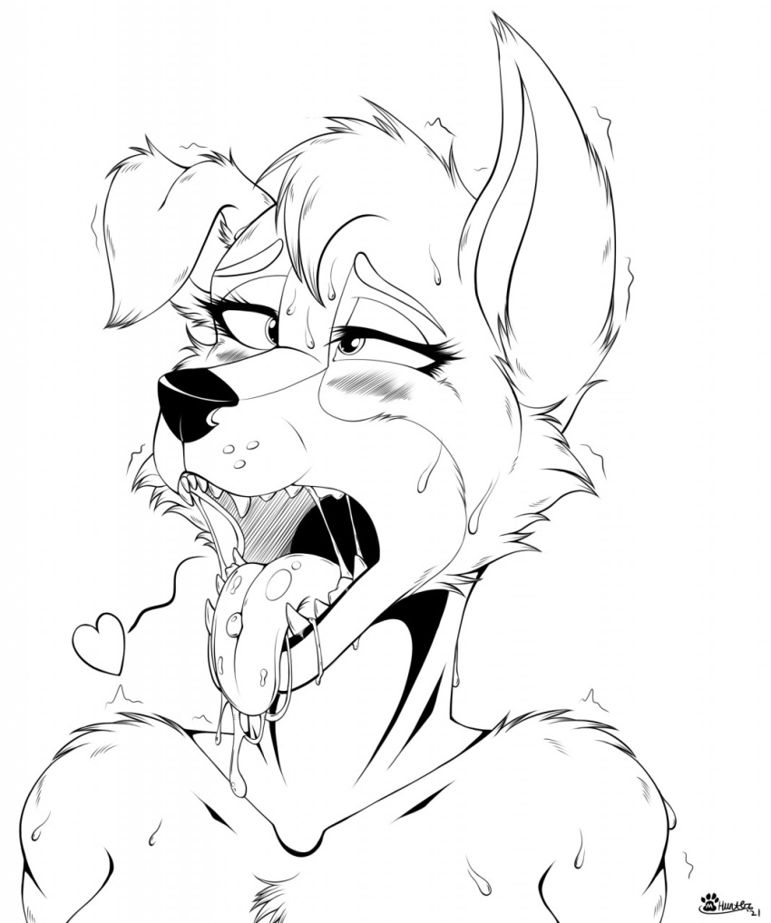 &lt;3 ahegao angel_(lady_and_the_tramp) anthro black_and_white canid canine canis disney domestic_dog female floppy_ears hair hi_res lady_and_the_tramp looking_pleasured mammal marcushunter monochrome piercing short_hair solo tongue tongue_piercing