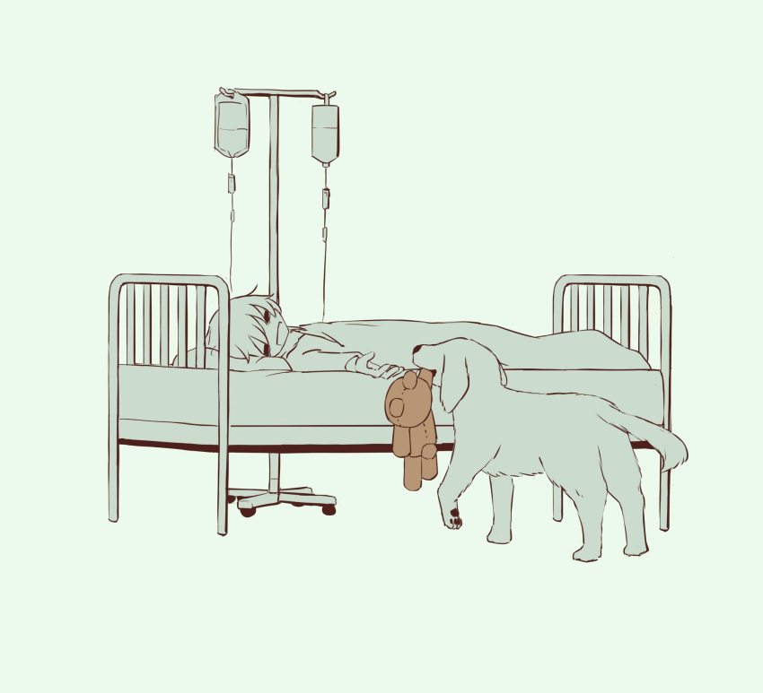 ambiguous_gender avogado6 bed canid canine canis domestic_dog duo feral furniture hi_res hospital_bed human ill male mammal object_in_mouth plushie teddy_bear