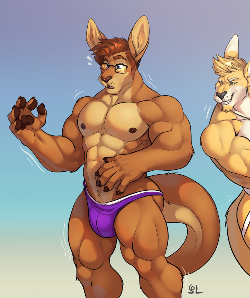 abs anthro attribute_theft bulge clothing dangaroo duo evil_grin eyewear glasses hi_res jockstrap kangaroo macropod male mammal marsupial muscular muscular_male muscular_thighs nipples pecs shrinking size_theft size_transformation smile solaxe solaxe_(artist) speedo_only surprise transformation underwear