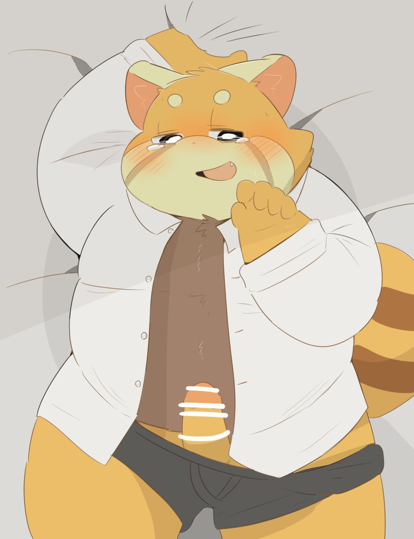 2022 ailurid anthro belly big_belly blush censored clothed clothing erection genitals hi_res humanoid_hands huukamm001_1101 kemono lying male mammal open_clothing open_shirt open_topwear overweight overweight_male penis red_panda red_panda_papa_(hyaku) shirt solo topwear