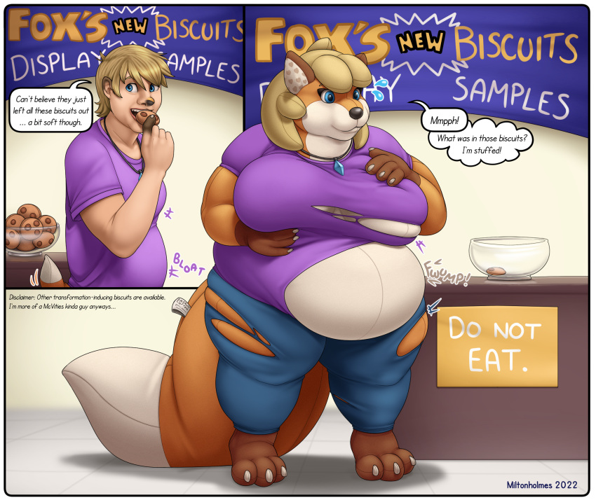 2022 amulet animate_inanimate anthro barefoot before_and_after big_breasts blonde_hair bottomwear breasts canid canine clothing cookie dialogue digital_media_(artwork) eating_cookie english_text feet female food fox gender_transformation hair hand_on_breast hi_res holding_cookie holding_food holding_object human human_to_anthro human_to_inanimate living_plushie male mammal miltonholmes mtf_transformation navel open_mouth overweight overweight_anthro overweight_female pants plushie purple_clothing purple_shirt purple_topwear seam_(sewing) shirt smile solo species_transformation standing surprise text topwear torn_clothing transformation weight_gain