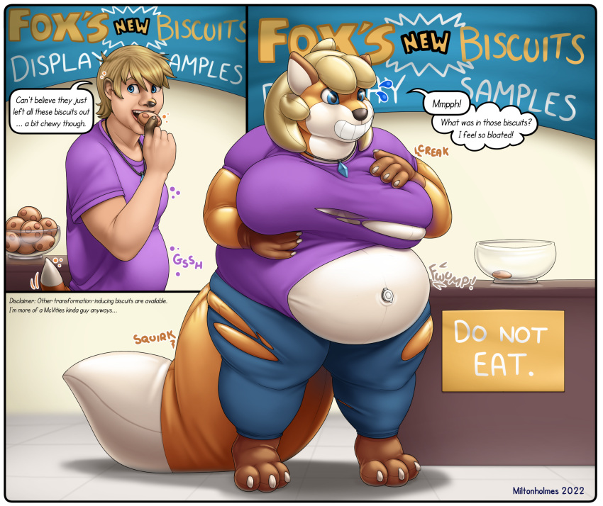 2022 amulet animate_inanimate anthro barefoot before_and_after big_breasts blonde_hair bottomwear breasts canid canine clothing cookie dialogue digital_media_(artwork) eating_cookie english_text feet female food forced_smile fox gender_transformation hair hand_on_breast hi_res holding_cookie holding_food holding_object human human_to_anthro human_to_inanimate inflatable living_inflatable male mammal miltonholmes mtf_transformation navel open_mouth overweight overweight_anthro overweight_female pants purple_clothing purple_shirt purple_topwear seam_(sewing) shirt smile solo species_transformation standing surprise text topwear torn_clothing transformation weight_gain