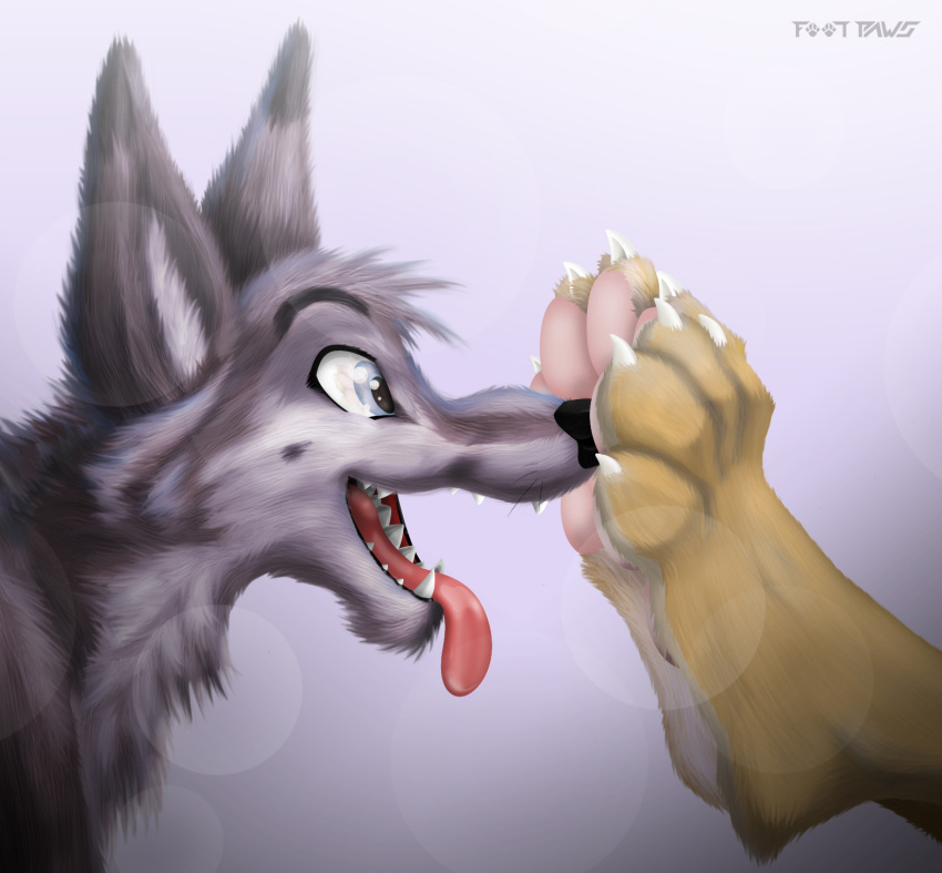 4_toes ambiguous_gender anthro blue_eyes boop canid canine canis claws countershading coyote duo feet foot-paws foot_on_face fur grey_body grey_fur grin happy hi_res mammal open_mouth pawpads simple_background smile soles tan_body tan_fur toe_claws toes tongue tongue_out