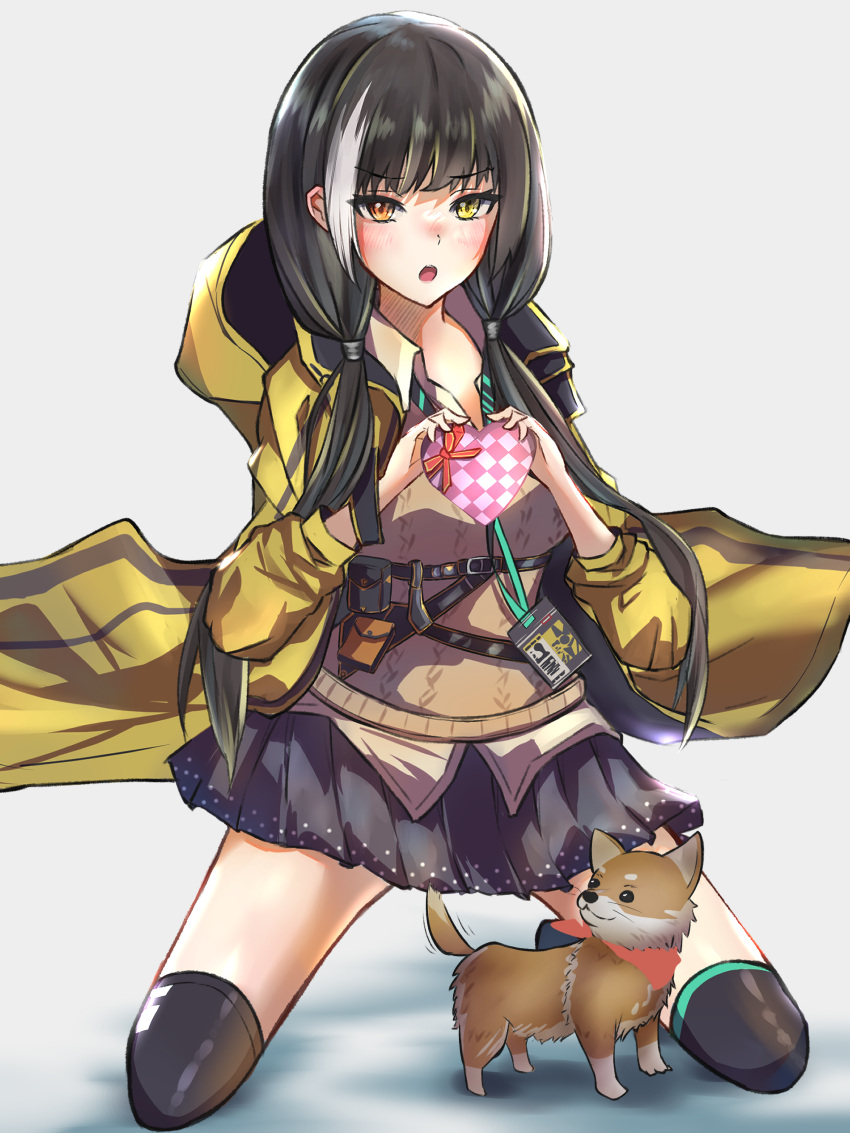 1girl absurdres bangs black_hair black_legwear black_skirt blush box breasts brown_cardigan cardigan dog eyebrows_visible_through_hair gift gift_box girls'_frontline hair_ornament hairclip heterochromia highres holding holding_gift hood hooded_jacket id_card jacket kneeling long_hair looking_at_viewer multicolored_hair open_clothes open_jacket open_mouth orange_eyes r9k1 ro635_(girls'_frontline) shirt simple_background skirt small_breasts solo thighhighs valentine yellow_eyes yellow_jacket yellow_shirt