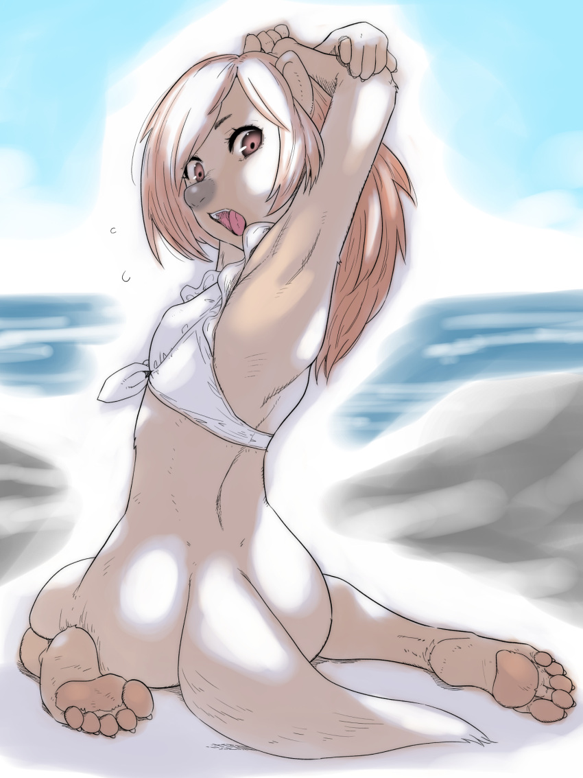 anthro clothed clothing female grey_nose hi_res looking_back lutrine mammal mustelid open_mouth pawpads plumvaguelette rear_view sea_otter seaside sitting solo