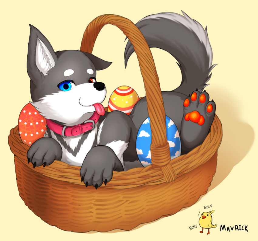 busket canid canine canis cannid domestic_dog easter easter_egg egg feral hi_res holidays husky invalid_tag male mammal mavrickzoo nordic_sled_dog paws spitz tongue