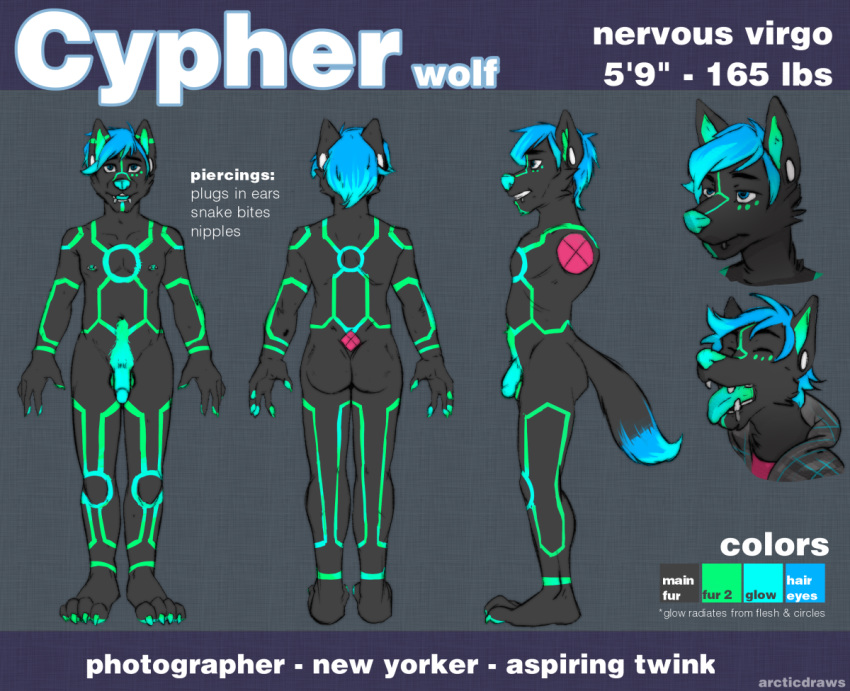 2017 anthro arcticorange biped clothed clothing cypher_(diaperedglowwolf) digital_drawing_(artwork) digital_media_(artwork) dipstick_tail english_text fur genitals hair hoodie male markings model_sheet penis simple_background solo standing tail_markings text topwear