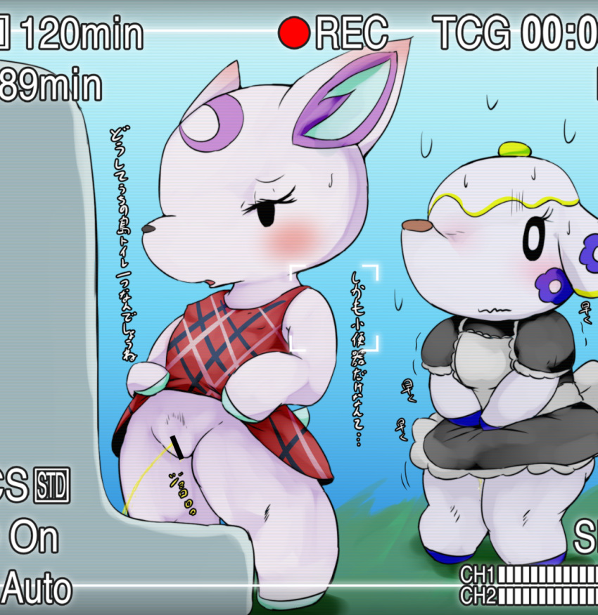 2020 alternate_version_at_source animal_crossing anthro bathroom bodily_fluids censor_bar cervid clothed clothing clothing_lift cottontail dialogue diana_(animal_crossing) dress dress_lift duo elephant elephantid eyelashes female fur genital_fluids genitals half-closed_eyes holding_crotch japanese_text maid_uniform mammal narrowed_eyes nintendo nipple_outline omorashi open_mouth outside peeing proboscidean public public_restroom public_urination pussy recording relieved scanlines sweat sweatdrop text tia_(animal_crossing) translation_request uniform urinal urine urine_stream video_games white_body white_fur white_skin worried