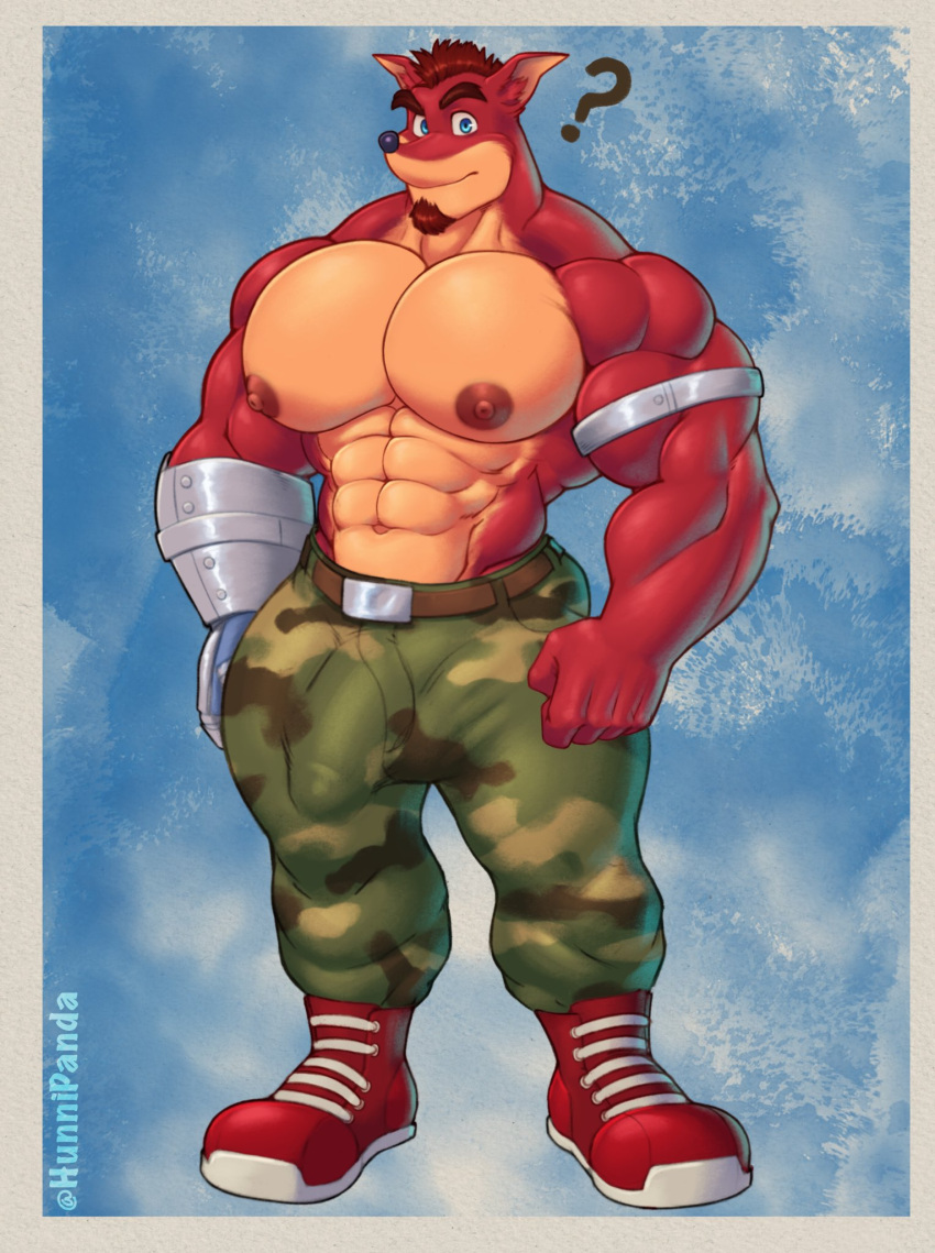 5_fingers abs activision anthro bandicoot blue_eyes boots bottomwear brown_body brown_fur brown_hair bulge camo camo_bottomwear camo_clothing camo_pants camo_print clothing crash_bandicoot_(series) crunch_bandicoot cybernetic_arm cybernetic_limb facial_hair fingers footwear front_view fur genital_outline goatee hair hi_res hunnipanda looking_at_viewer male mammal marsupial muscular muscular_male navel nipples pants pattern_bottomwear pattern_clothing pattern_pants pecs penis_outline question_mark shirtless signature simple_background solo standing tan_body tan_fur video_games
