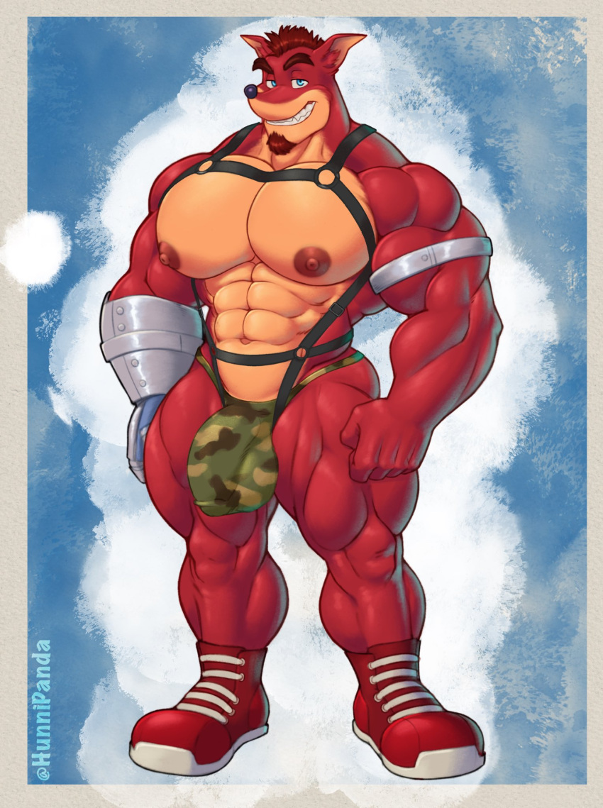 5_fingers abs activision anthro bandicoot bedroom_eyes blue_eyes boots bottomwear brown_body brown_fur brown_hair bulge camo camo_bottomwear camo_clothing camo_jockstrap camo_print clothing crash_bandicoot_(series) crunch_bandicoot cybernetic_arm cybernetic_limb facial_hair fantasizing fingers footwear front_view fur genital_outline goatee grin hair harness hi_res hunnipanda jockstrap looking_at_viewer male mammal marsupial muscular muscular_male narrowed_eyes navel nipples pattern_bottomwear pattern_clothing pecs penis_outline question_mark seductive shirtless signature simple_background smile solo standing tan_body tan_fur thick_thighs thought_bubble underwear video_games