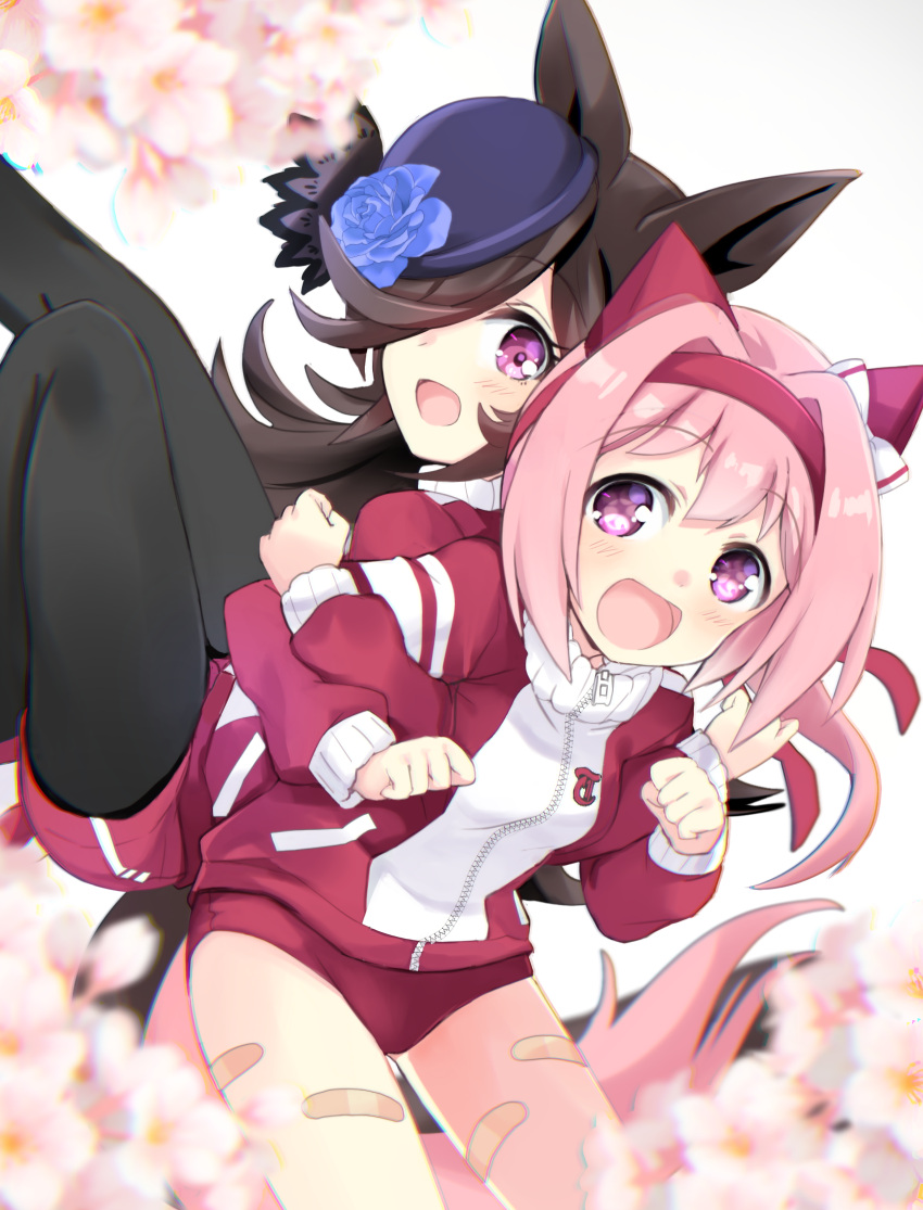 2girls absurdres animal_ears back-to-back bandaid bandaid_on_thigh bangs black_hair black_legwear bloomers blue_flower blue_rose bow cherry_blossoms commentary_request eyebrows_visible_through_hair eyelashes flower flower-shaped_pupils hair_bow hairband haru_urara_(umamusume) hat hat_flower highres hizuki_yayoi horse_ears horse_girl horse_tail jacket locked_arms long_hair long_sleeves looking_at_viewer medium_hair multiple_girls open_mouth pantyhose pink_eyes pink_hair purple_eyes red_bloomers red_jacket red_shorts rice_shower_(umamusume) rose shorts smile symbol-shaped_pupils tail thighs track_jacket umamusume underwear white_background zipper