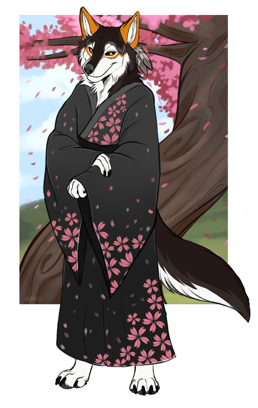 absurd_res anthro asian_clothing canid canine canis cherry_blossom cherry_blossom_tree cherry_tree clothing danywolf east_asian_clothing fruit_tree hi_res japanese_clothing kimono male mammal plant solo srpeachy tree wolf