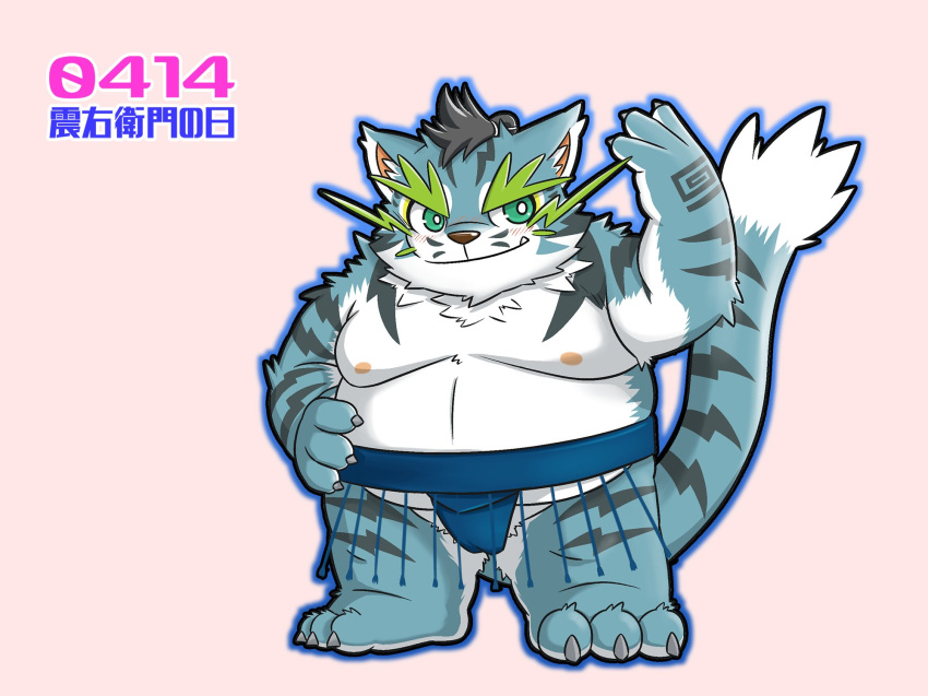 2022 anthro asian_clothing belly big_belly blue_body clothing cute_fangs east_asian_clothing felid hi_res humanoid_hands japanese_clothing japanese_text kemono male mammal mawashi mizuse_higomaru moobs nipples overweight overweight_male pantherine raiden_shin'emon sengoku_puzzle simple_background solo text tiger video_games white_body