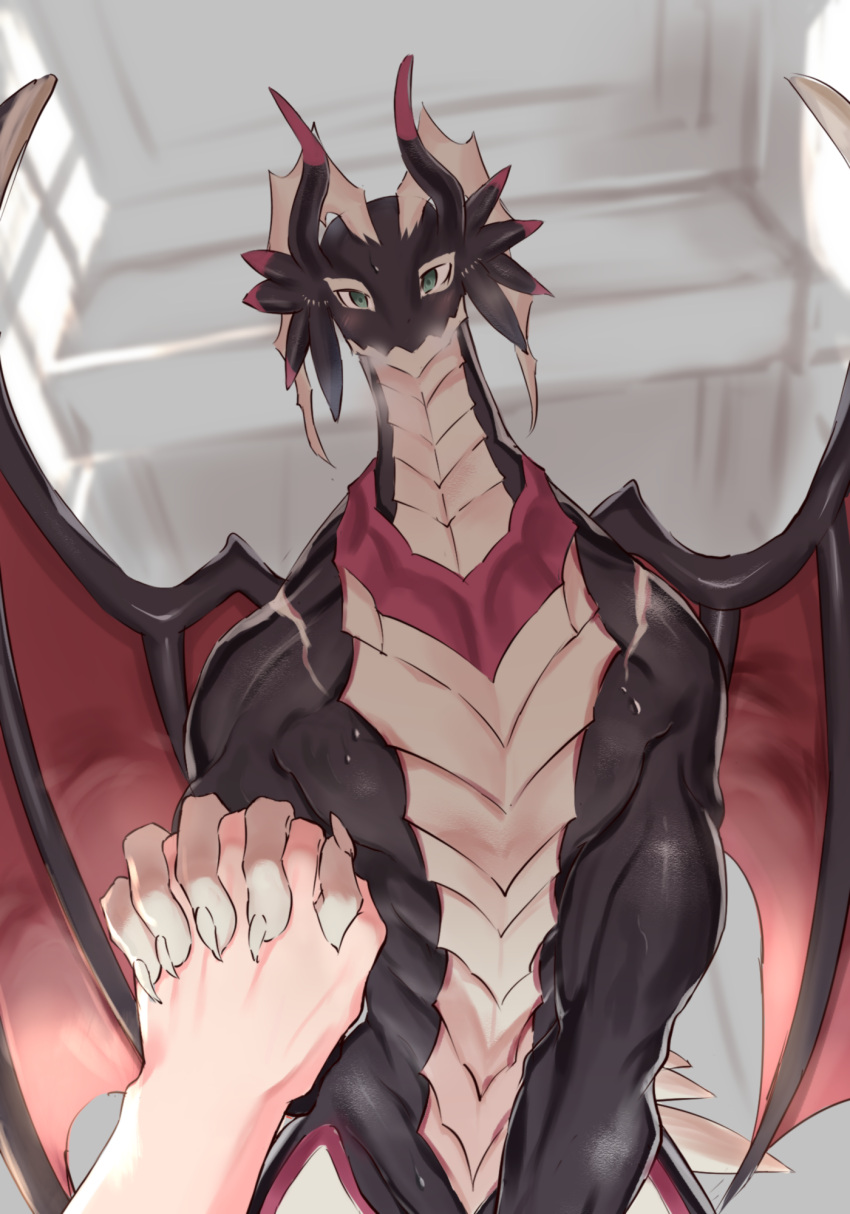 5_fingers black_body blush claws detailed_background disembodied_hand dragon dragonmaid_strahl duel_monster female finger_claws fingers first_person_view hand_holding hi_res horn human human_pov humanoid_hands interlocked_fingers interspecies kemono konami looking_at_viewer low-angle_view mammal membrane_(anatomy) membranous_wings muscular muscular_female passionpit777 scales smile solo white_body white_scales wings yu-gi-oh