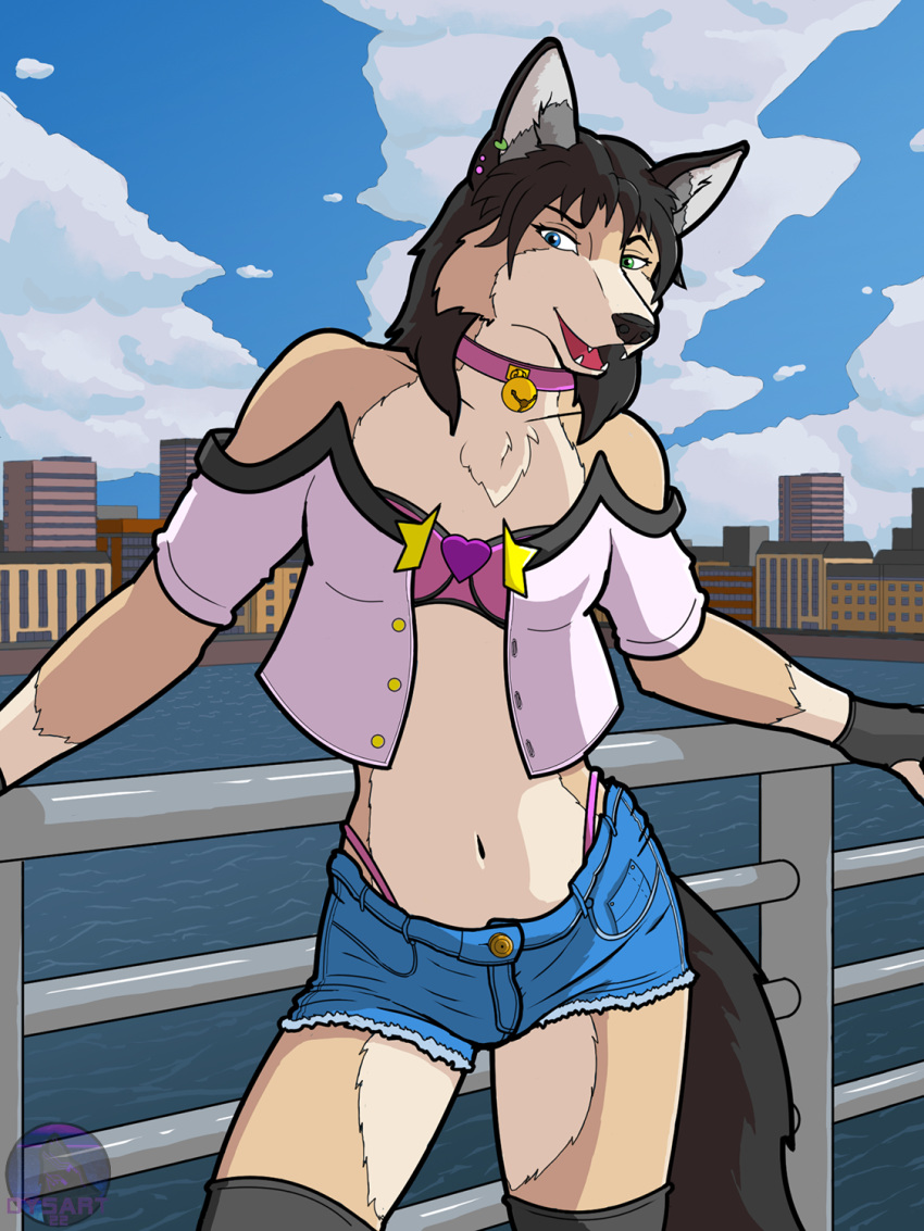 2022 animal_humanoid anthro arctic_wolf bell bell_collar black_hair black_tail blue_eyes blue_sky bottomwear bra bridge brown_body brown_fur building buttons_(fastener) canid canid_humanoid canine canis cel_shading chest_tuft city city_background cityscape clothing cloud collar cutoffs daisy_dukes day denim denim_clothing digital_drawing_(artwork) digital_media_(artwork) digital_painting_(artwork) docks domestic_dog dysart ear_piercing exposed_shoulders female fingerless_gloves fur gloves green_eyes hair handwear heterochromia hi_res hotpants humanoid jacket legwear light mammal mammal_humanoid navel outside panties piercing pink_clothing pink_jacket pink_topwear pockets pose railings shaded shorts sky solo solo_focus star_symbol stockings sunlight synthetic tan_body tan_fur topwear tuft underwear water wolf