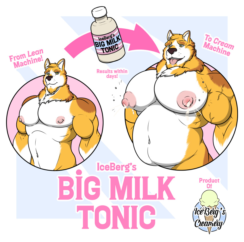 1ceberg absurd_res advertisement anthro belly big_nipples big_pecs bodily_fluids canid expansion growth hi_res lactating looking_at_viewer male male_lactation mammal milk muscle_growth musclegut muscular muscular_male nipple_piercing nipples nude overweight pecs piercing size_transformation solo tongue tongue_out transformation