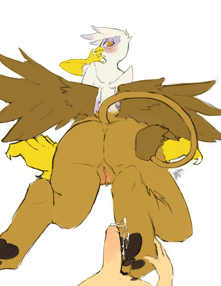 5_fingers avian avian_taur blush brown_body brown_feathers butt feathers female fingers first_person_view foot_fetish foot_play footjob friendship_is_magic genitals gilda_(mlp) gryphon gryphon_taur hae-hyun half-closed_eyes hasbro hi_res human human_on_taur human_pov interspecies long_tail looking_back male male/female male_pov mammal multi_wing my_little_pony mythological_avian mythology narrowed_eyes pawpads paws pussy raised_tail sex tail_tuft taur tuft white_body white_feathers wings yellow_eyes