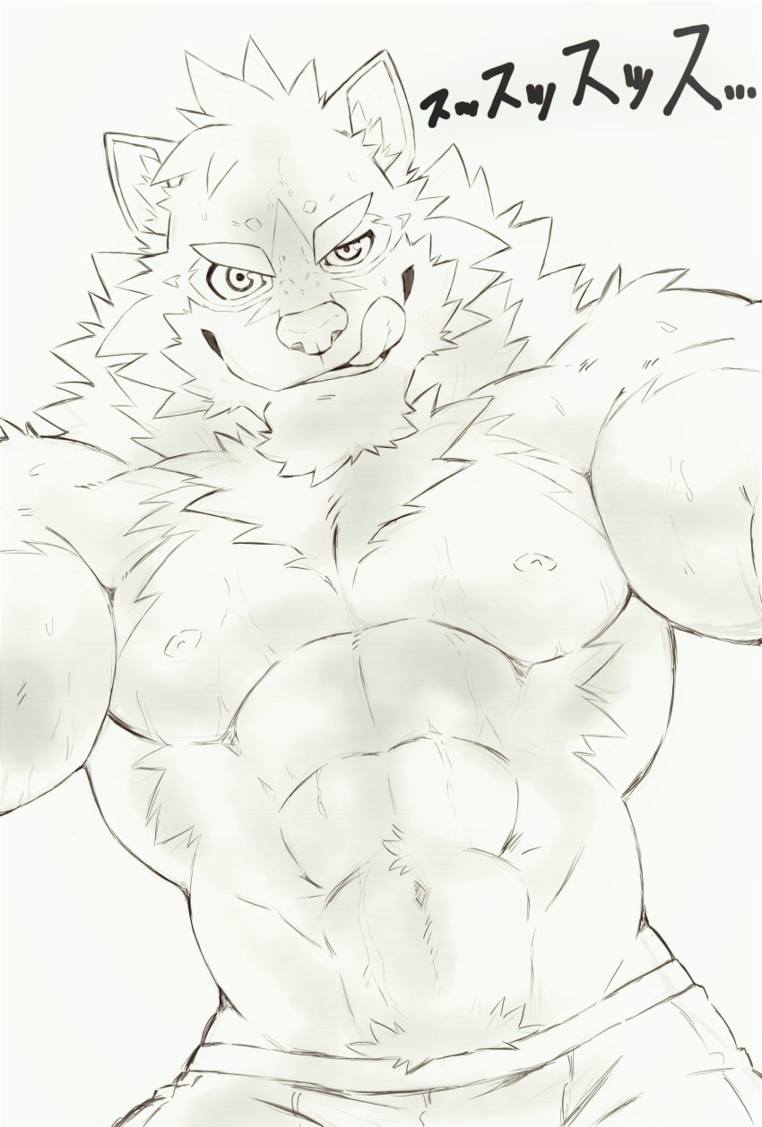 abs absurd_res anthro barrel_(live-a-hero) biceps bodily_fluids bulge canid canine canis clothing heylaw21 hi_res japanese_text licking licking_lips lifewonders live-a-hero looming male mammal muscular muscular_anthro muscular_male navel neck_tuft nipples pecs sketch solo sweat text tongue tongue_out tuft underwear video_games wolf