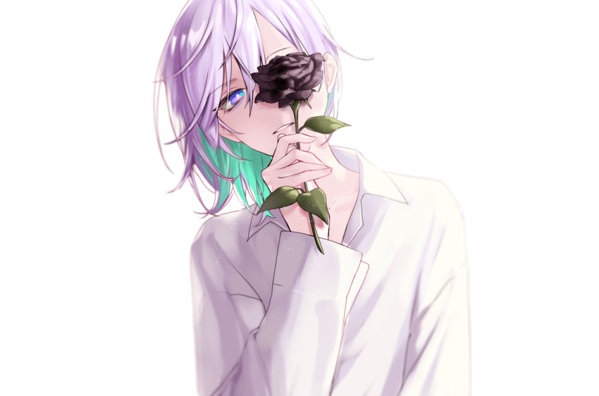 1boy black_flower black_rose blue_hair collared_shirt flower highres long_sleeves looking_at_viewer multicolored_hair nyamnyam0502 one_eye_covered paradox_live parted_lips purple_eyes purple_hair rose shirt solo white_background white_shirt yatonokami_kanata