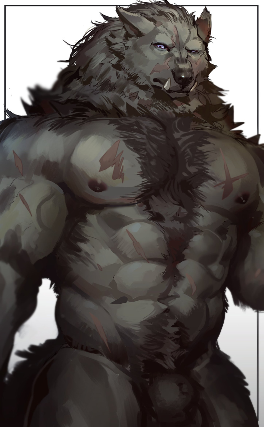 2022 abs animal_genitalia anthro balls big_muscles big_pecs black_body black_fur blaidd_(elden_ring) canid canine canis chest_tuft digital_drawing_(artwork) digital_media_(artwork) elden_ring fangs fromsoftware fur genitals hi_res looking_at_viewer male mammal muscular muscular_male nipples nude omochi_kuitai pecs purple_eyes scar sheath simple_background solo tuft video_games wolf