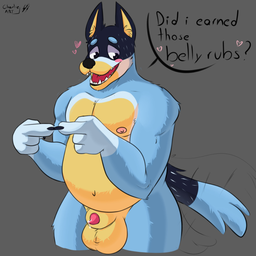 anthro australian_cattle_dog balls bandit_heeler blue_body blue_fur bluey_(series) blush bodily_fluids canid canine canis cattledog charlieleobo chubby_male dialogue digital_media_(artwork) domestic_dog fur genital_fluids genitals herding_dog hi_res male male/male mammal nipples nude pastoral_dog penis precum simple_background slightly_chubby smile solo text