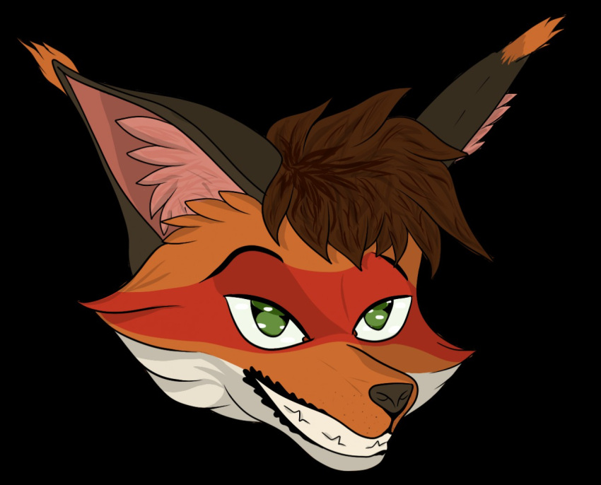 anthro canid canine fox headshot_portrait male mammal portrait smile solo thux-ei