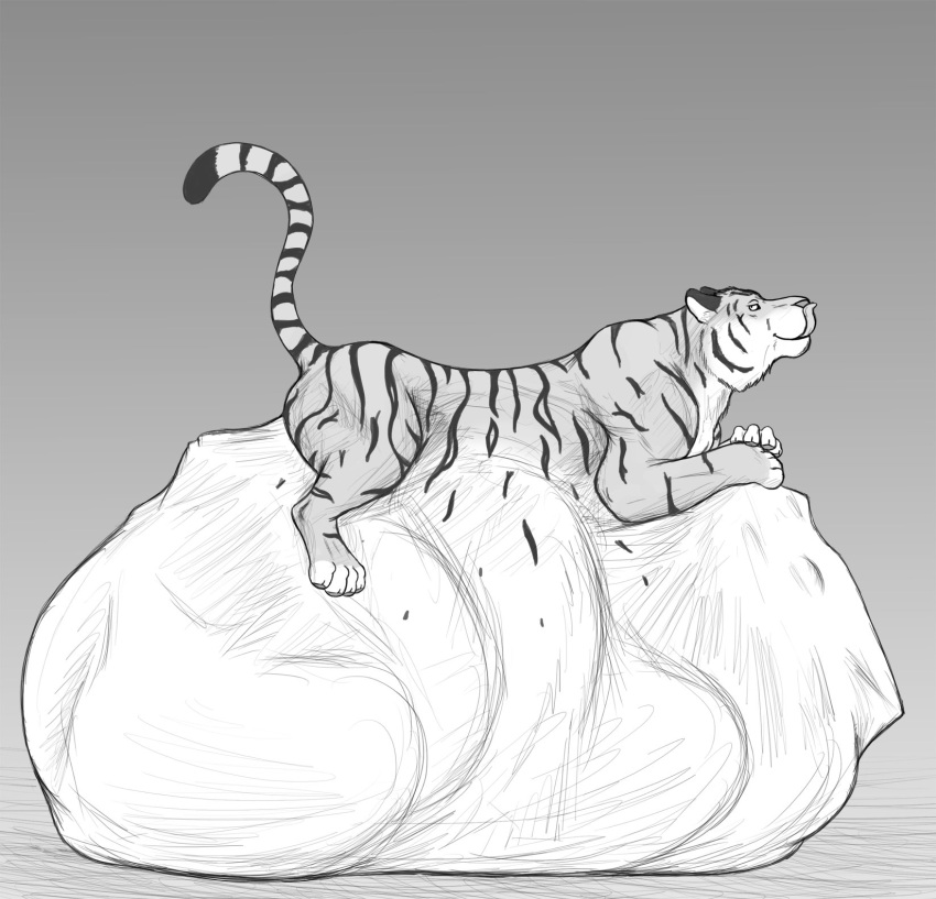 after_vore belly big_belly black_and_white dragon dragon_prey duo felid feral feral_pred feral_prey hi_res licking licking_lips looking_at_viewer lying male mammal monochrome on_front pantherine raised_tail thatgryphonguy tiger tiger_pred tongue tongue_out vore