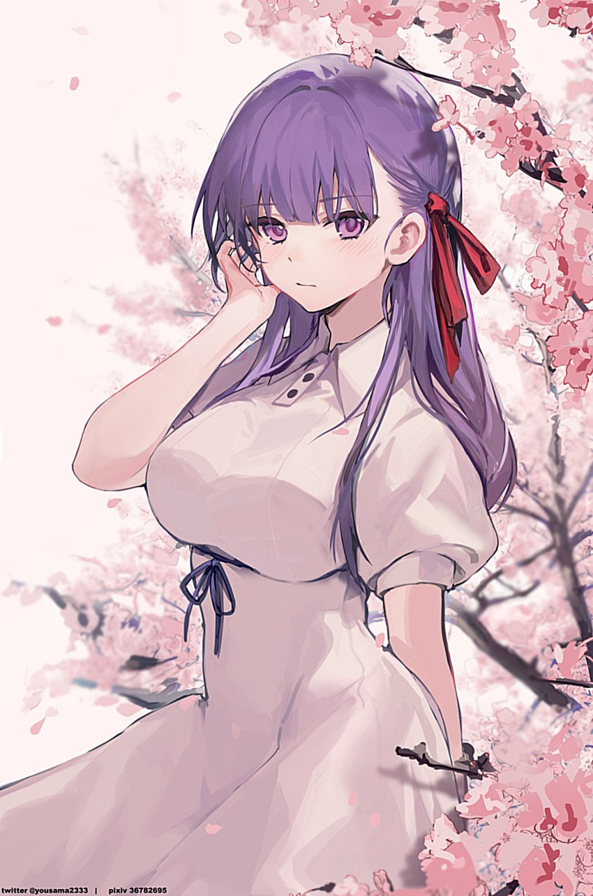 1girl absurdres bangs blush breasts closed_mouth collared_dress dress fate/stay_night fate_(series) flower hair_ornament hair_ribbon hand_up heaven's_feel highres kitere large_breasts long_hair looking_at_viewer matou_sakura petals puffy_short_sleeves puffy_sleeves purple_eyes purple_hair red_ribbon ribbon short_sleeves solo white_dress