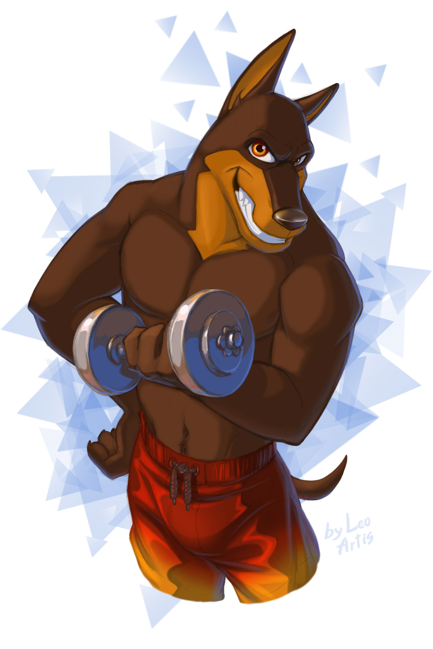 2022 absurd_res anthro blitz_(road_rovers) canid canine canis clothed clothing dobermann domestic_dog dumbbell exercise fur gradient_background hi_res leo-artis male mammal muscular muscular_anthro muscular_male pinscher road_rovers simple_background teeth topless topless_anthro topless_male triangle_(shape) weightlifting weights white_background workout