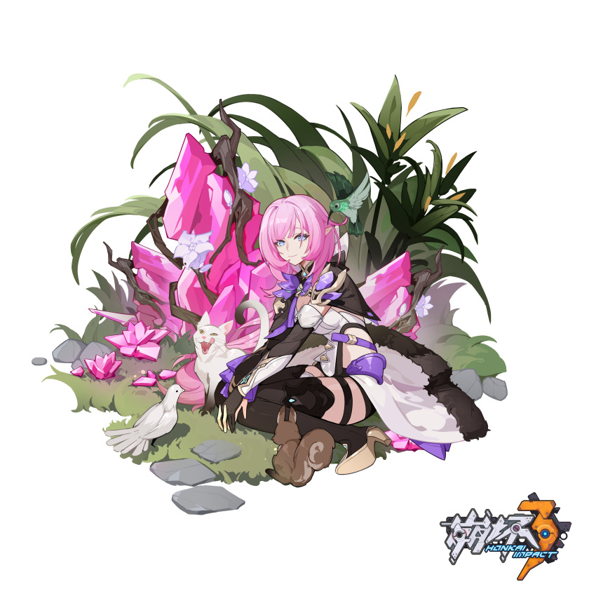 1girl absurdres animal bangs bird black_footwear black_jacket black_shorts blue_eyes boots breasts cat cleavage closed_mouth crystal dove elf elysia_(honkai_impact) flower full_body grass highres honkai_(series) honkai_impact_3rd hummingbird jacket long_hair long_sleeves looking_at_viewer official_art pink_hair pointy_ears ponytail purple_flower purple_rose rose shoe_soles shorts simple_background sitting smile solo squirrel thigh_boots thighhighs wariza white_background