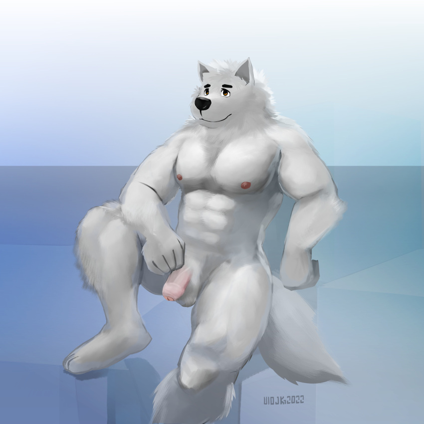 1:1 2022 abs anthro artist_name balls black_eyebrows black_nose brown_eyes canid canine canis digital_media_(artwork) domestic_dog eyebrows feet flaccid fluffy foreskin fur genitals hi_res humanoid_genitalia humanoid_hands humanoid_penis looking_at_another male mammal muscular muscular_anthro muscular_male nipples nordic_sled_dog nude pecs penis samoyed simple_background solo spitz toes uiojk white_body white_fur