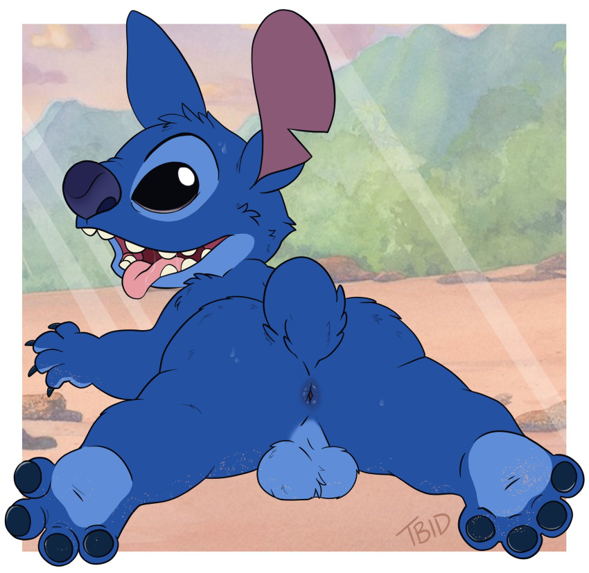 alien anthro anus backsack balls blue_body blue_fur butt disney fur genitals hi_res lilo_and_stitch looking_back male perineum presenting presenting_anus solo stitch_(lilo_and_stitch) tbid tongue tongue_out