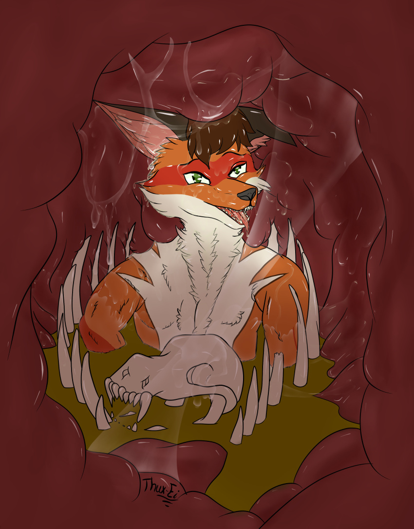 absurd_res ambiguous_fluids anthro bodily_fluids bone canid canine digestion dragon fox hi_res male mammal organs skull smelly solo stomach stomach_acid thux-ei vore willing_prey willing_vore zhanka