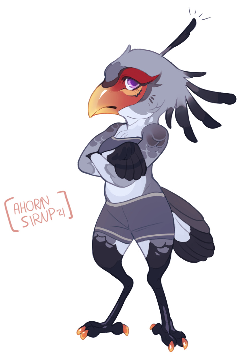 accipitriform annoyed anthro avian beak bird bottomwear breasts chibi clothed clothing colored_claws diesel_wiesel digital_media_(artwork) feather_hands feathered_crest feathers female full-length_portrait grey_body grey_bottomwear grey_clothing grey_feathers grey_shorts grey_tube_top head_crest hi_res midriff multicolored_body multicolored_feathers orange_beak orange_talons portrait purple_eyes ridos_(primonyr) secretary_bird shorts simple_background small_breasts solo standing talons