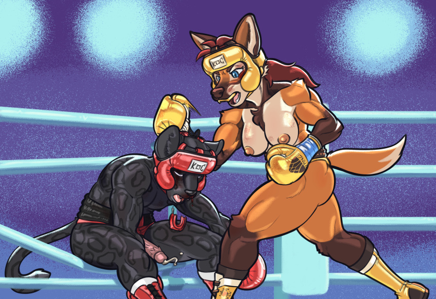 2022 ak_(aknight93) amira_winters anthro areola black_body black_fur blood blue_eyes bodily_fluids boots boxing boxing_gloves breasts brown_body brown_fur bruised canid canine chest_tuft clothed clothing competition crotchless_bottomwear crotchless_clothing dcheese digital_media_(artwork) dipstick_tail duo felid feline female fighting_ring footwear fur genital_fluids genitals hair handwear headgear hi_res humanoid_genitalia humanoid_penis koc male mammal maned_wolf markings melanistic mouthguard muscular muscular_female muscular_male nipples open_mouth orange_body orange_fur pantherine penile_spines penis precum red_hair sexfight sexual_competition sport spots spotted_markings tail_markings topless tuft