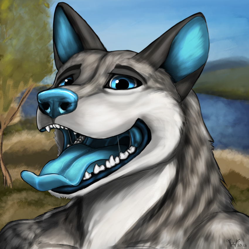 anthro blue blue_flesh breath canid canine canis cloud eyes grass grin happy hi_res invalid_tag male mammal nose open_mouth outside panting plant portrait sky smile solo tongue toothy tree water wolf wolfywetfurr_(artist)