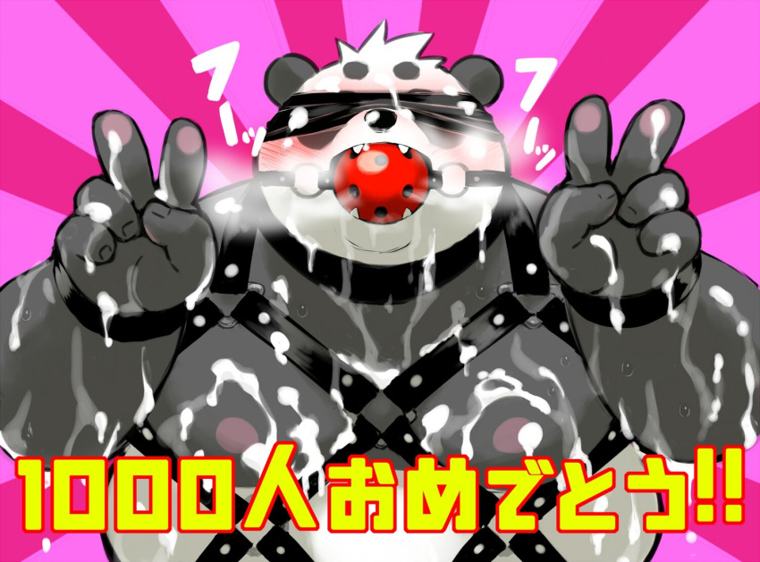 2022 anthro ball_gag black_body black_nose blindfold blush bodily_fluids cum cum_on_arm cum_on_chest cum_on_hand gag genital_fluids giant_panda harness humanoid_hands japanese_text kemono leather leather_harness male mammal overweight overweight_male sasayama_akira sessa solo text ursid virtual_youtuber white_body