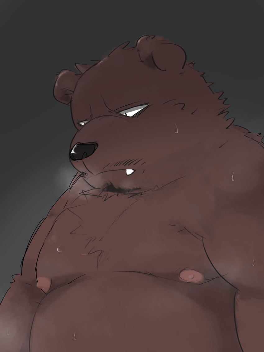 2022 anthro belly big_belly black_nose bodily_fluids brown_body hi_res kemono kipchin_2nd00 male mammal mature_male moobs nipples overweight overweight_male simple_background solo sweat ursid