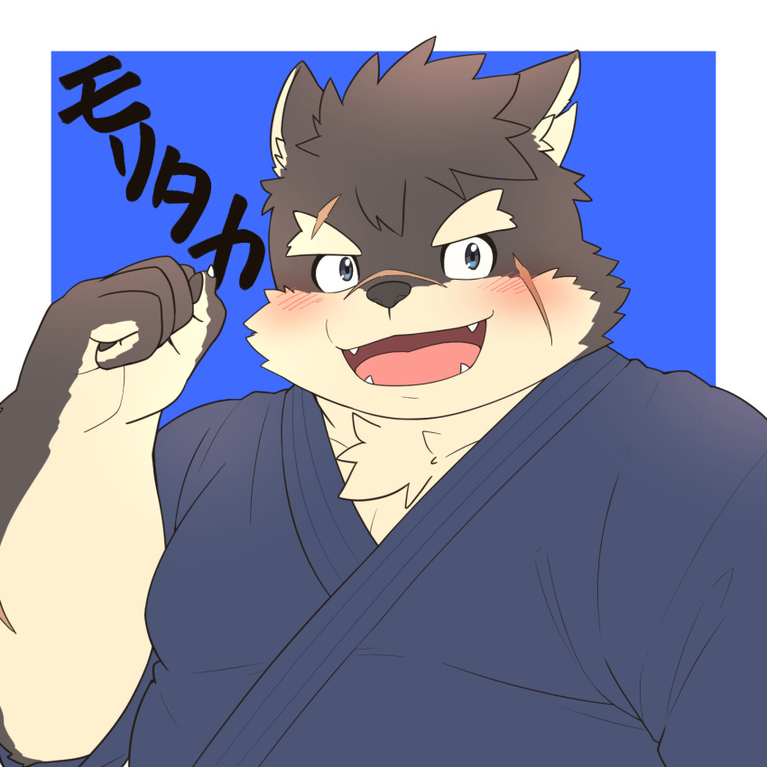 anthro asian_clothing blue_clothing blue_eyes blush canid canine canis clothing domestic_dog east_asian_clothing eyebrows fur grey_body grey_fur hi_res japanese_clothing kimono lifewonders male mammal mizumizu_samo17 moritaka scar solo thick_eyebrows tokyo_afterschool_summoners video_games