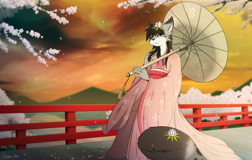 absurd_res anthro asian_clothing black_hair bridge cherry_blossom cherry_blossom_tree cherry_tree clothing discontent dusk east_asian_clothing felid flower flower_on_head flower_on_tail flower_pattern flower_petals fruit_tree fur giru_(artist) green_eyes grey_body grey_fur hair hi_res holding_object holding_umbrella japanese_clothing jewelry kimono looking_at_viewer lotus_(flower) male mammal mountain necklace nekoeko pantherine petals pink_clothing pink_kimono plant snow_leopard solo standing tail_mouth touching_hair tree umbrella unusual_anatomy unusual_tail water
