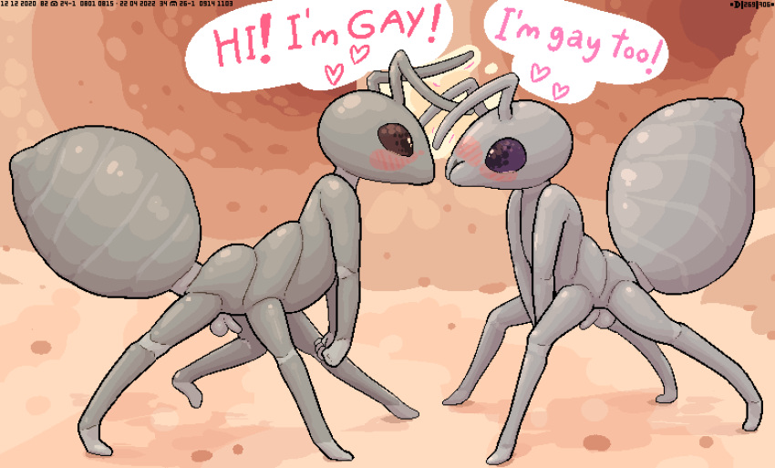 ant antennae_(anatomy) arthropod arthropod_taur balls blush dialogue duo english_text flaccid genitals hymenopteran insect male male/male penis pixelated small_penis source_request taur text unknown_artist